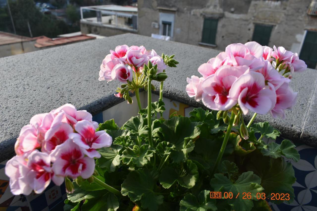 Casa Materdei Apartment Naples Exterior photo